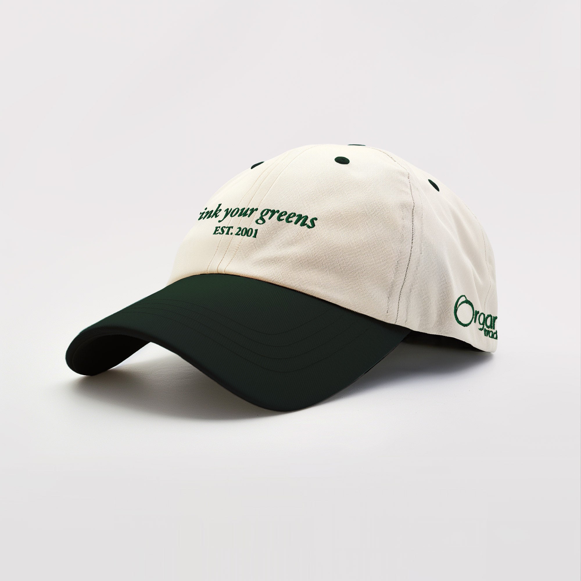 Drink Your Greens Two Toned Dad Hat